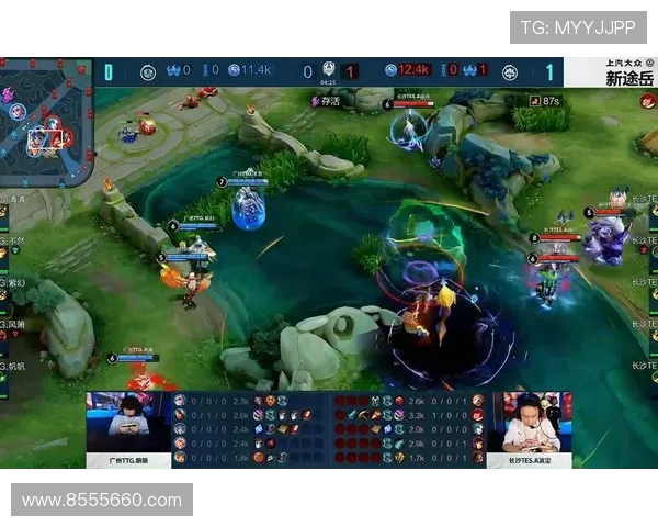 王者荣耀热议TES战队节奏争议引发玩家热烈讨论与反思